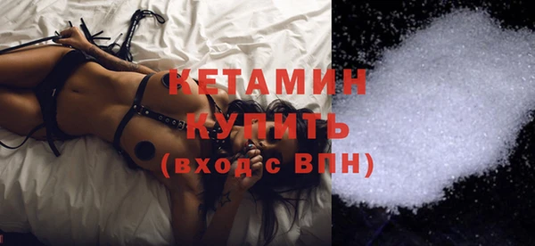 крисы Алексин