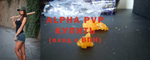 крисы Алексин