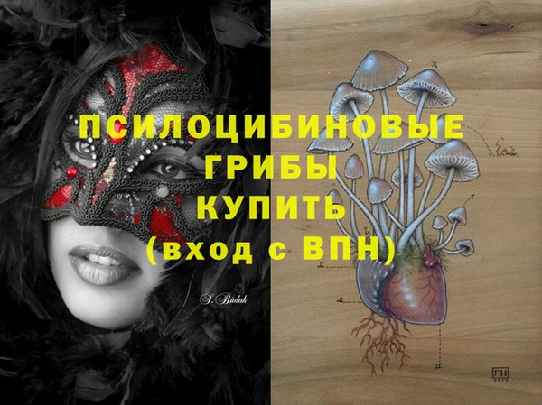 крисы Алексин