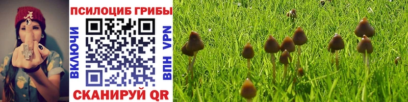 мега ONION  Нижнеудинск  Галлюциногенные грибы Magic Shrooms  где можно купить наркотик 