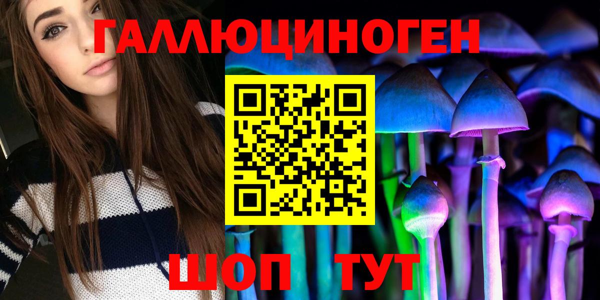 Псилоцибиновые грибы Psilocybine cubensis  Вход с VPN  Нижнеудинск 