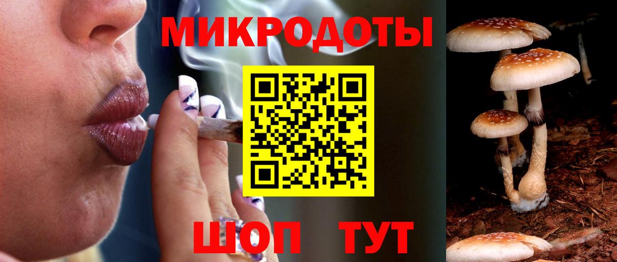 Галлюциногенные грибы Psilocybe Нижнеудинск